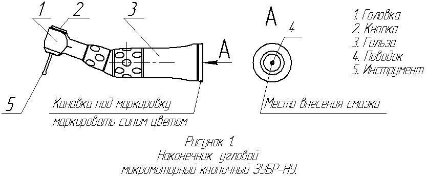 zubr5.jpg